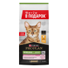 Сухой корм PRO PLAN® Sterilised DELICATE DIGESTION для взрослых стерилизованных кошек с чувствительным пищеварением, с высоким содержанием курицы, 10 + 2 кг в подарок