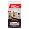 Сухой корм PRO PLAN® Kitten DELICATE DIGESTION для котят с чувствительным пищеварением, с высоким содержанием индейки, 10 кг + 2  кг в подарок