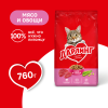 Сухой корм ДАРЛИНГ для взрослых кошек для ежедневного кормления, с мясом и овощами, 760 г