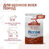 Сухой корм Monge Dog Speciality Line Puppy&Junior для щенков всех пород, из ягненка с рисом 800 г