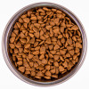 Сухой корм Monge Cat BWild GRAIN FREE для взрослых кошек, беззерновой, из трески 1,5 кг