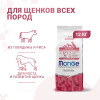 Сухой корм Monge Dog Speciality Line Monoprotein Puppy & Junior для щенков всех пород, из говядины с рисом 12 кг